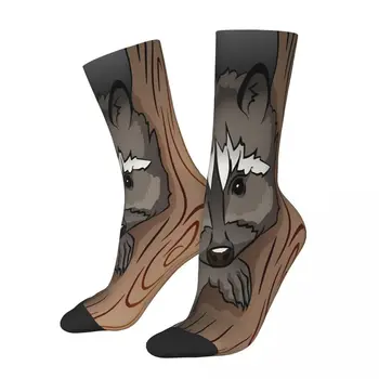 Милые носки с изображением животных енота, мужские и женские зимние чулки Harajuku
