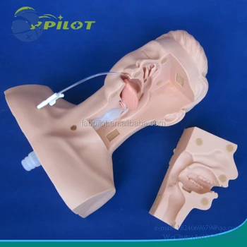 Обучающая модель для отсасывания из полости рта и носа, симулятор отсасывания трахеостомической трубки