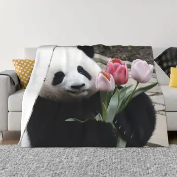 Одеяло с животными Хуахуа панда, клетчатые всесезонные комфортные пледы для прочного домашнего декора на длительный срок.