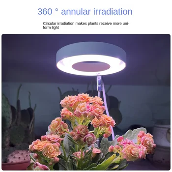 Светодиодная лампа для растений полного спектра, USB Grow Light, регулируемая по высоте светодиодная лампа для выращивания, фитолампа, Гидропонное освещение для рассады цветов